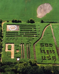 corn_maze