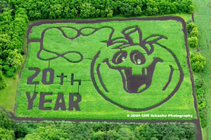 2008 Nelson Farm Corn Maze