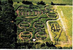 TwinsCornMaze