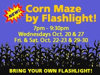 Corn Maze by Flashlight