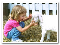 Girl with lamb